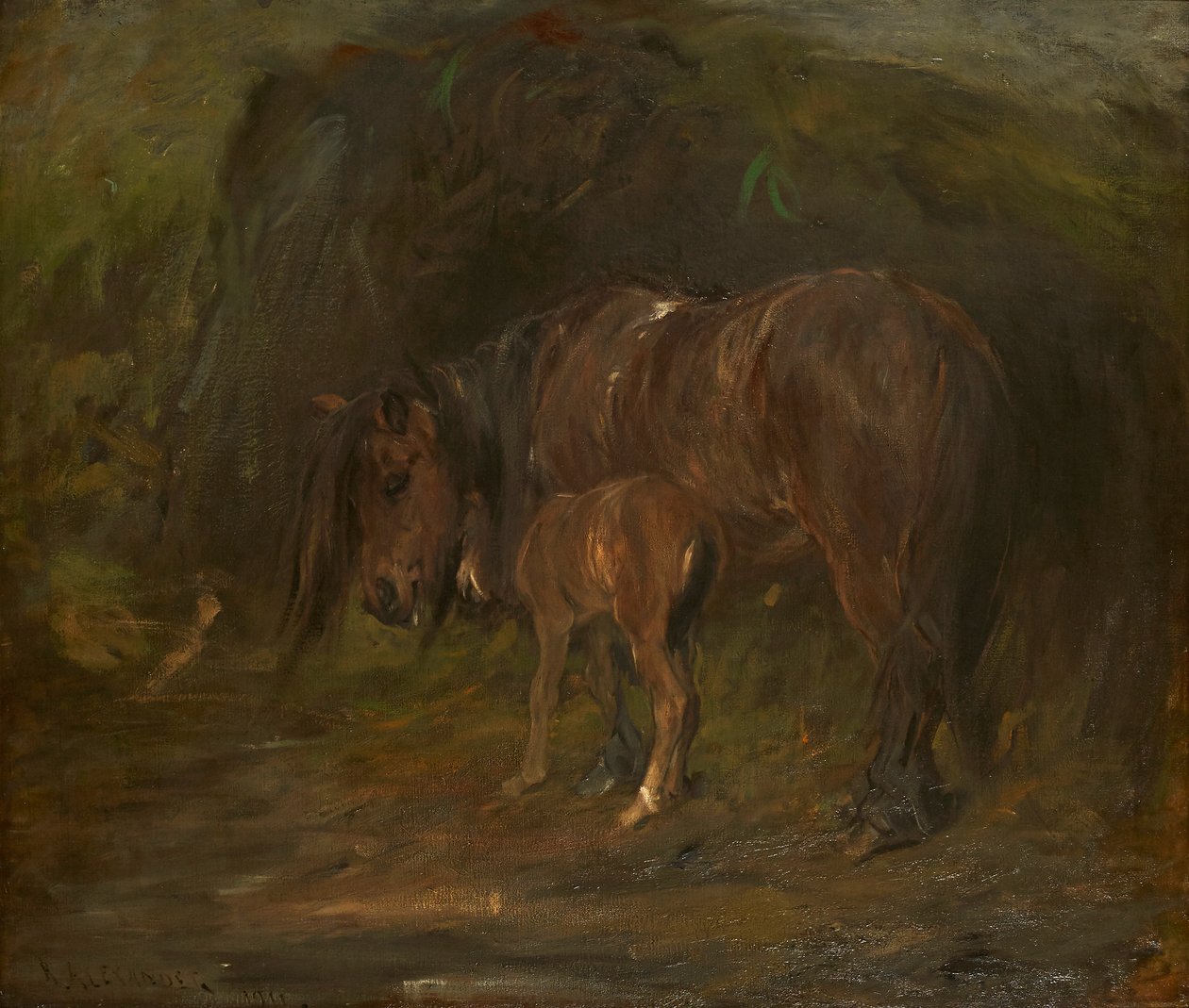 Cavalla e puledro da Robert Alexander