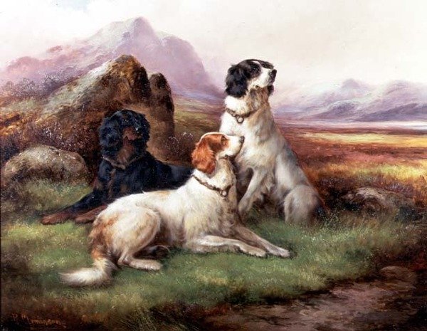 Setter in un paesaggio delle Highlands da Robert Cleminson