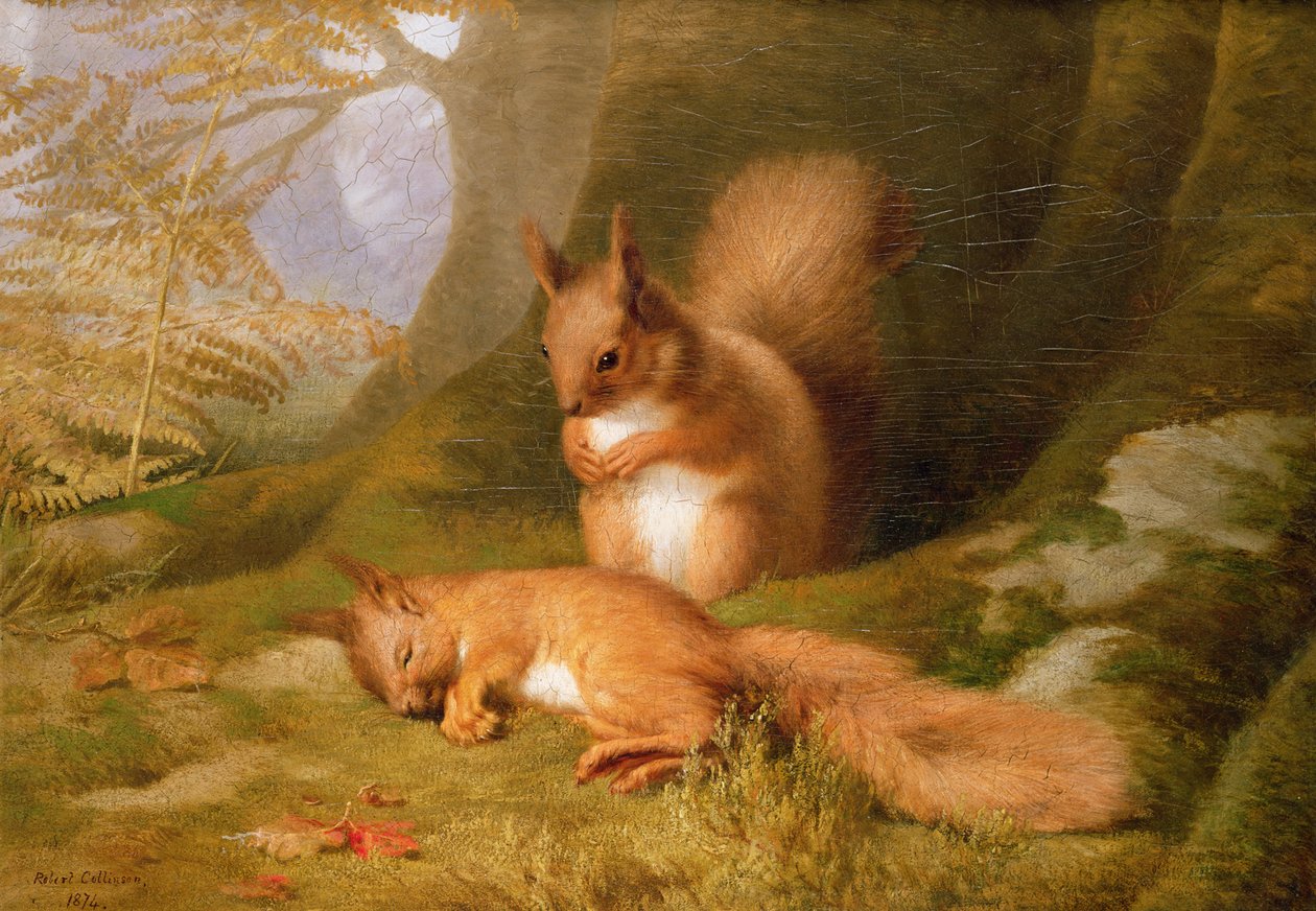 Scoiattoli in un bosco, 1874 da Robert Collinson