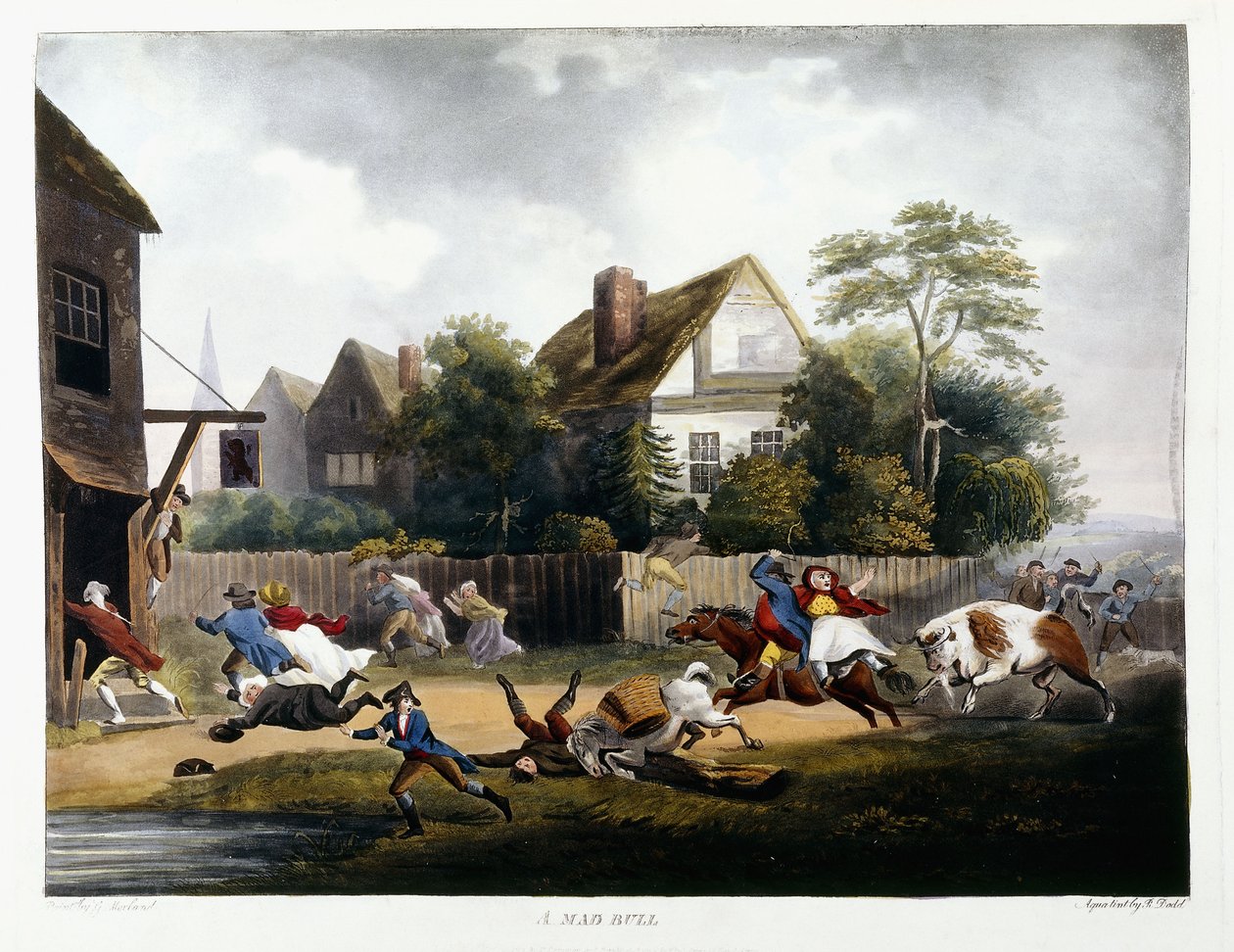 Un toro pazzo, 1806 da Robert Dodd