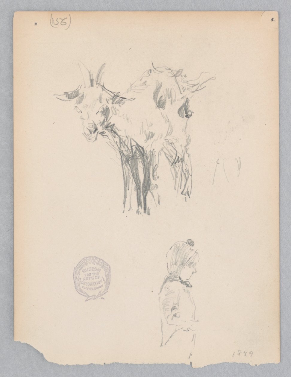Capra da Robert Frederick Blum