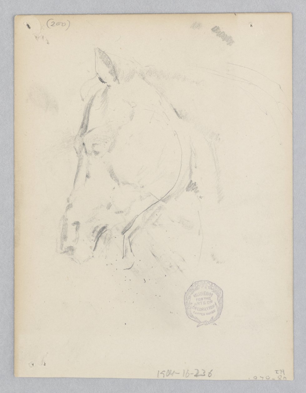 Cavallo da Robert Frederick Blum