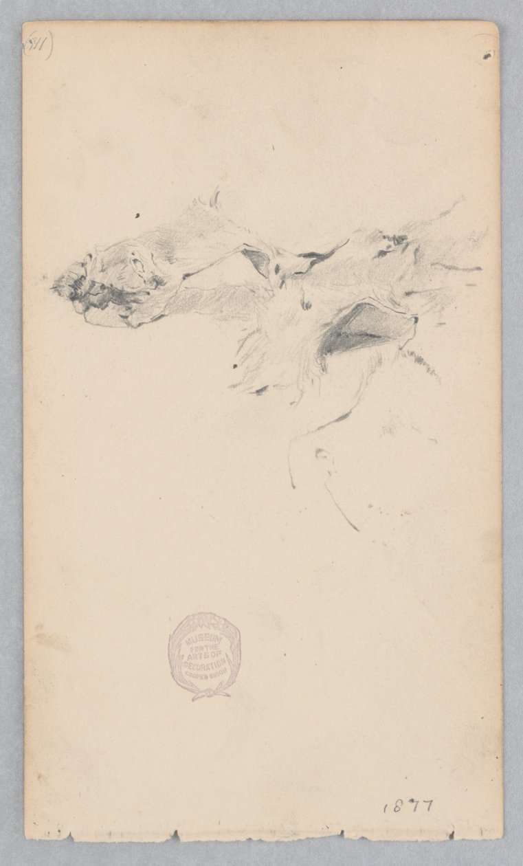Tappeto di pelle di tigre da Robert Frederick Blum