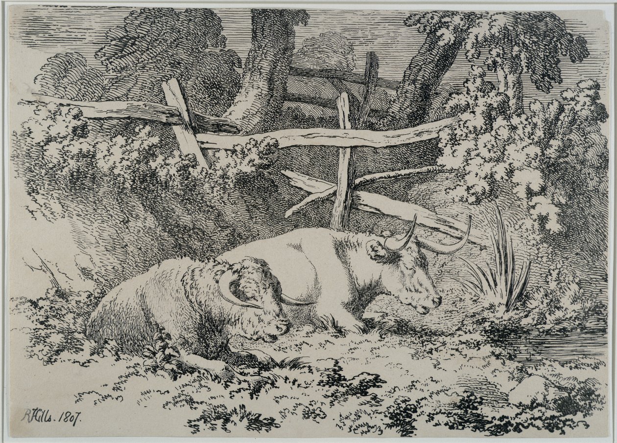 Bovini a riposo, 1807 da Robert Hills