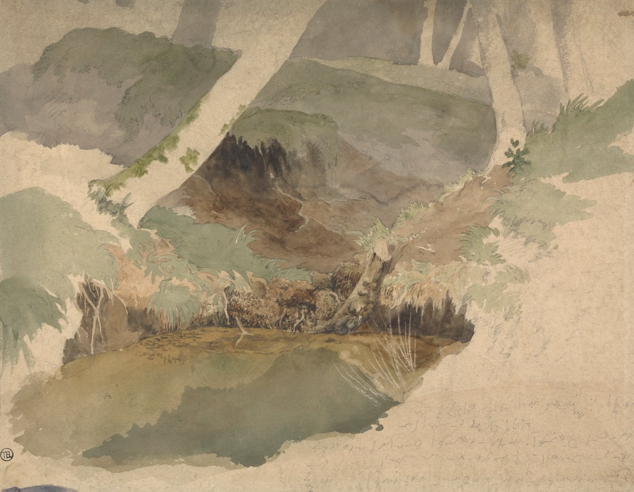 Piscina nella foresta da Robert Hills