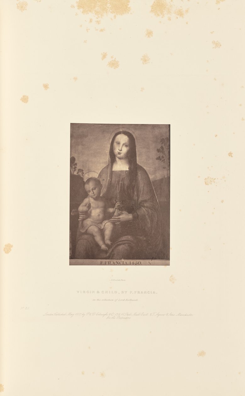 Vergine e Bambino, di F. Francia da Robert Howlett