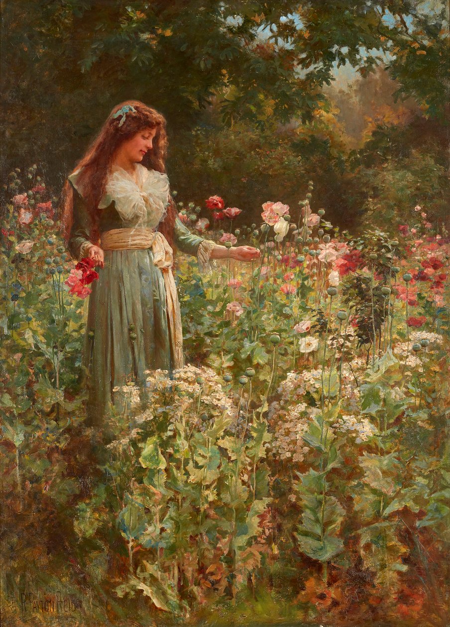 Raccolta di papaveri da Robert Payton Reid