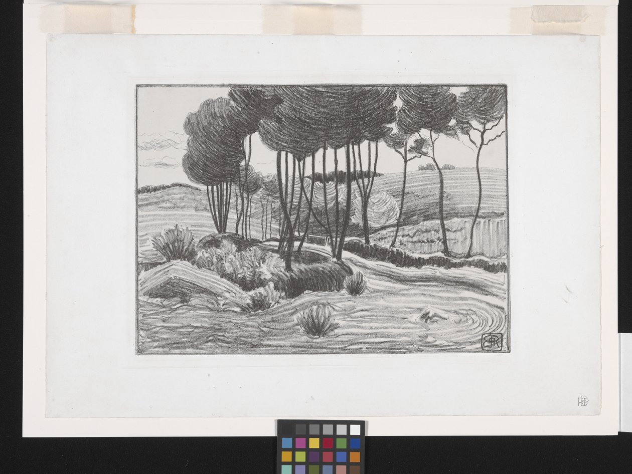 I pioppi da Robert Polhill Bevan
