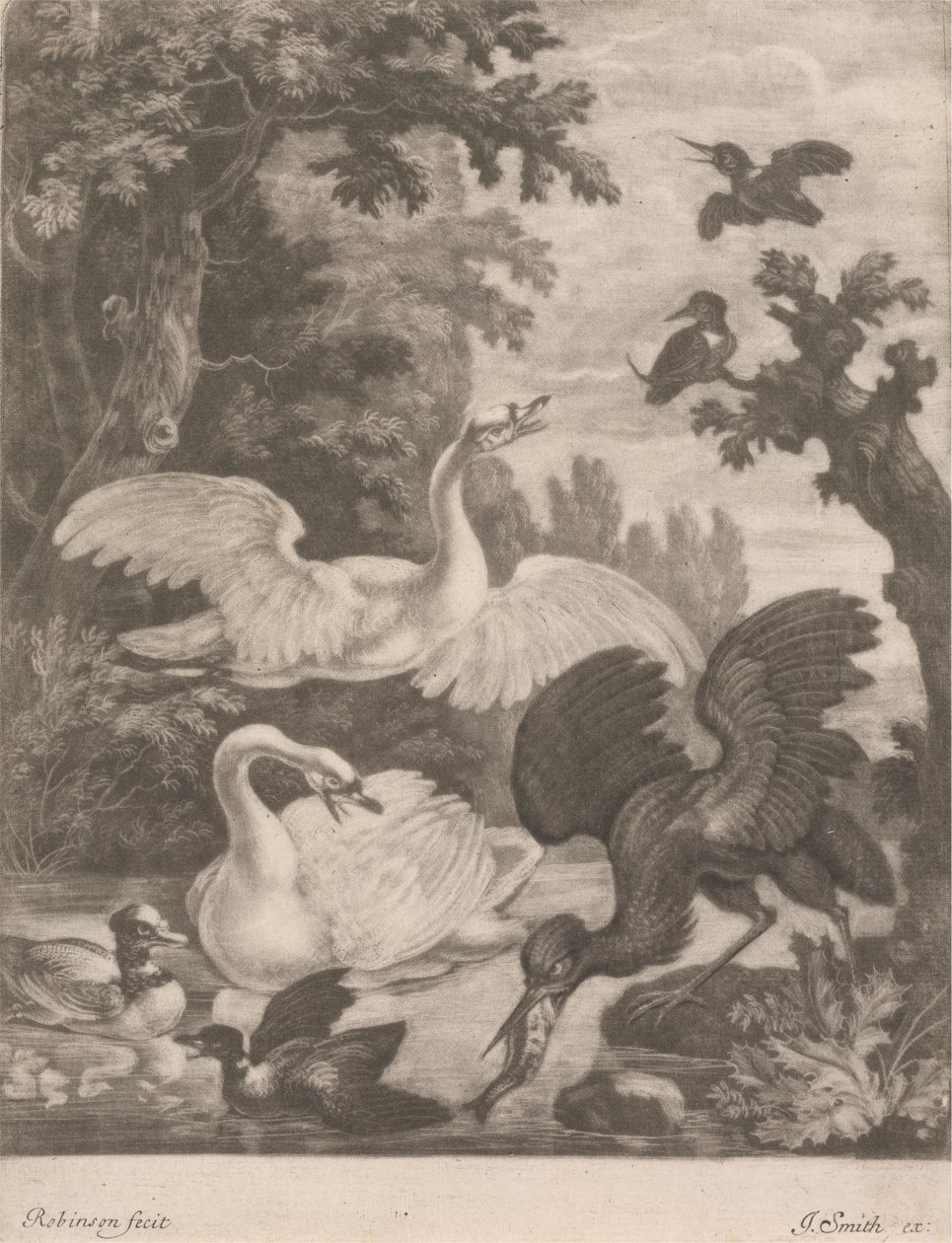 Uccelli acquatici da Robert Robinson
