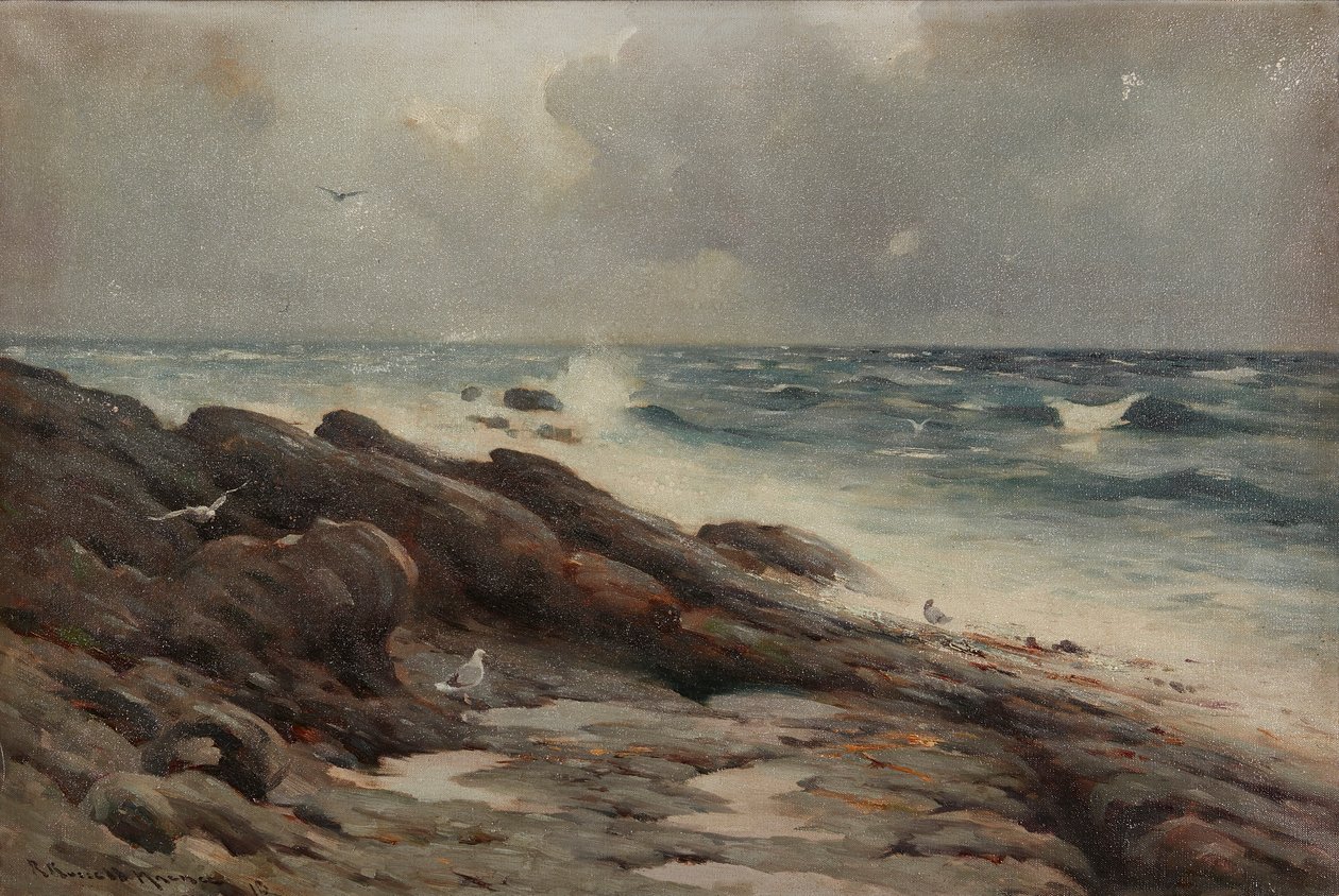 Costa rocciosa da Robert Russell MacNee