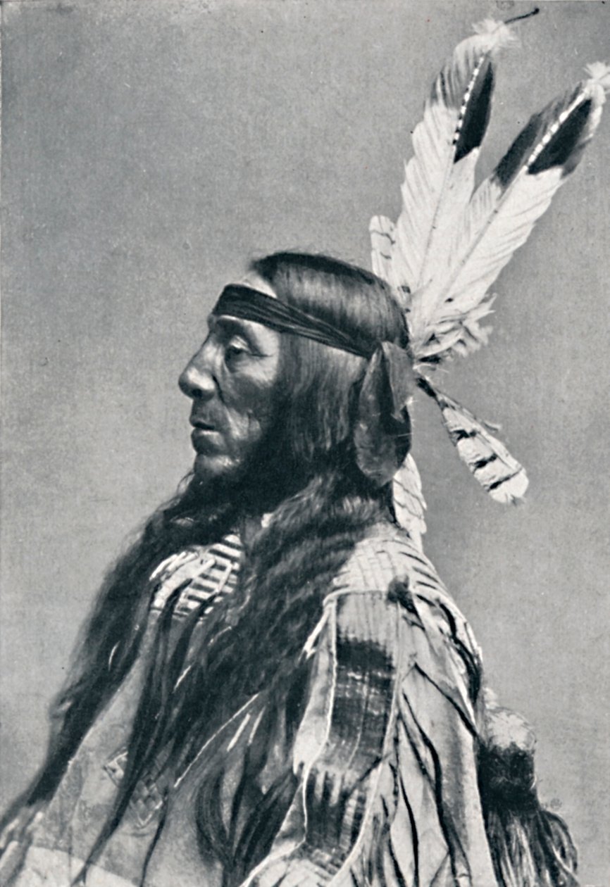 Vista di profilo di un Sioux, 1912 da Robert Wilson Shufeldt