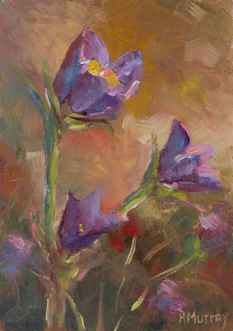 Crocus della prateria, 2023 da Roberta Murray