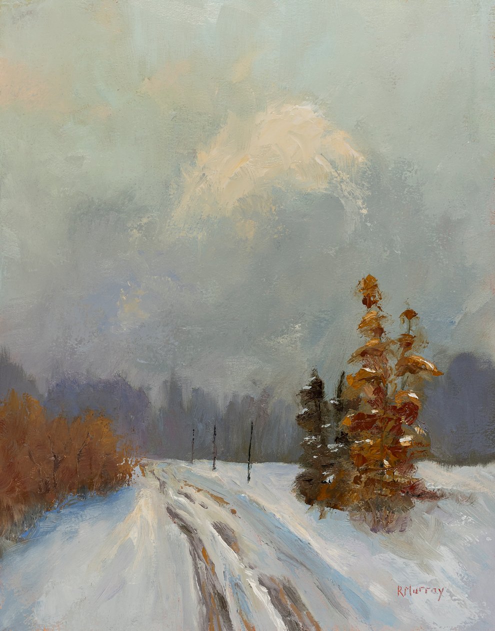 Neve a settembre, 2023 da Roberta Murray