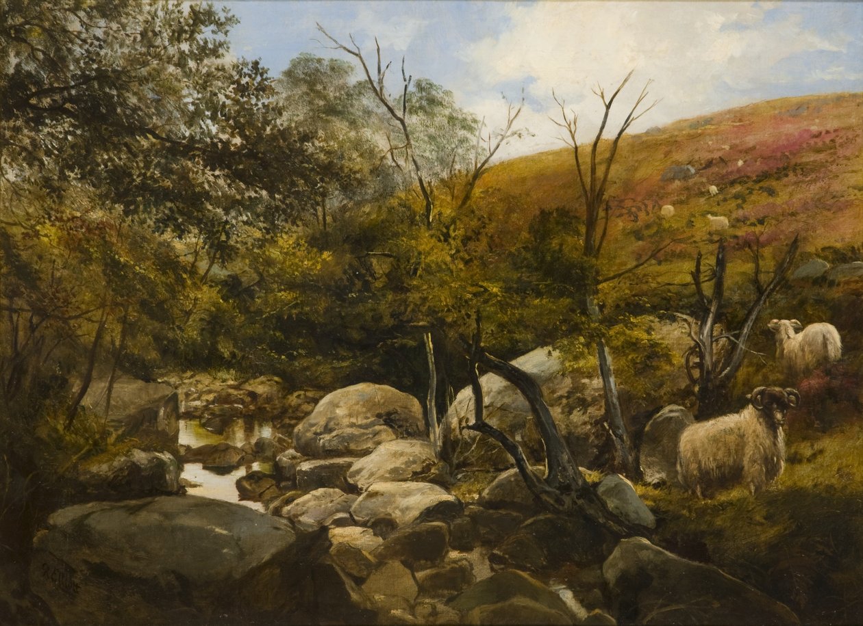 Sul Black Burn, vicino a Rothbury da Robinson Elliott