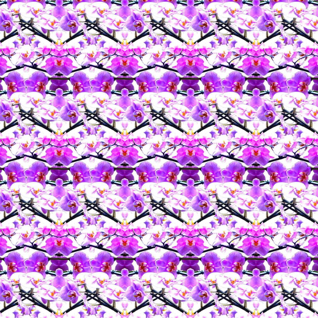 Ripetizione di orchidea viola da Robyn Parker