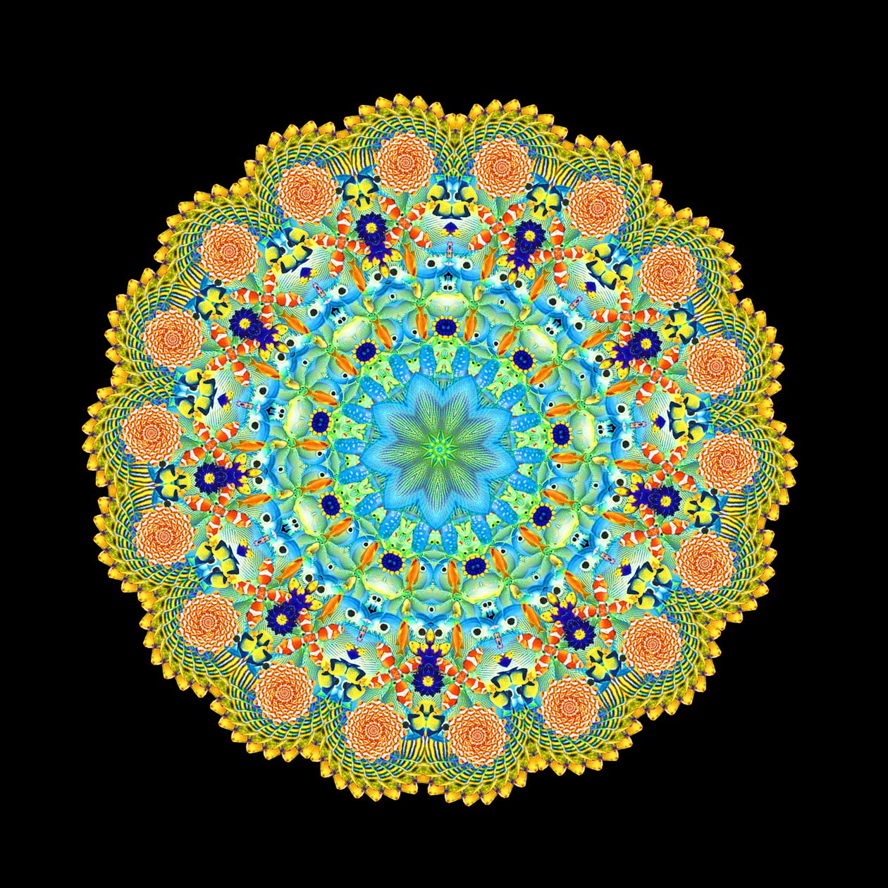 Ruota di pesci tropicali da Robyn Parker