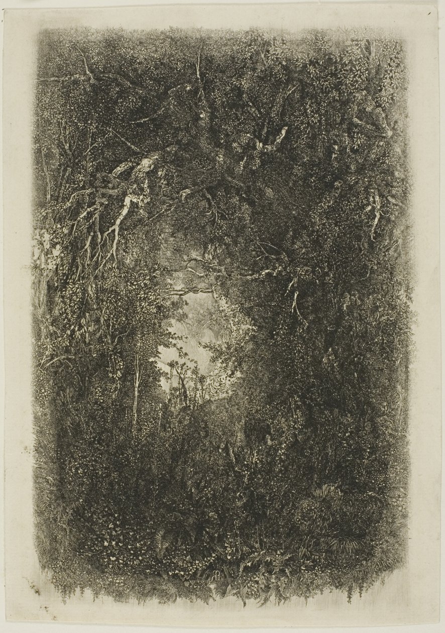 Radura nella foresta da Rodolphe Bresdin