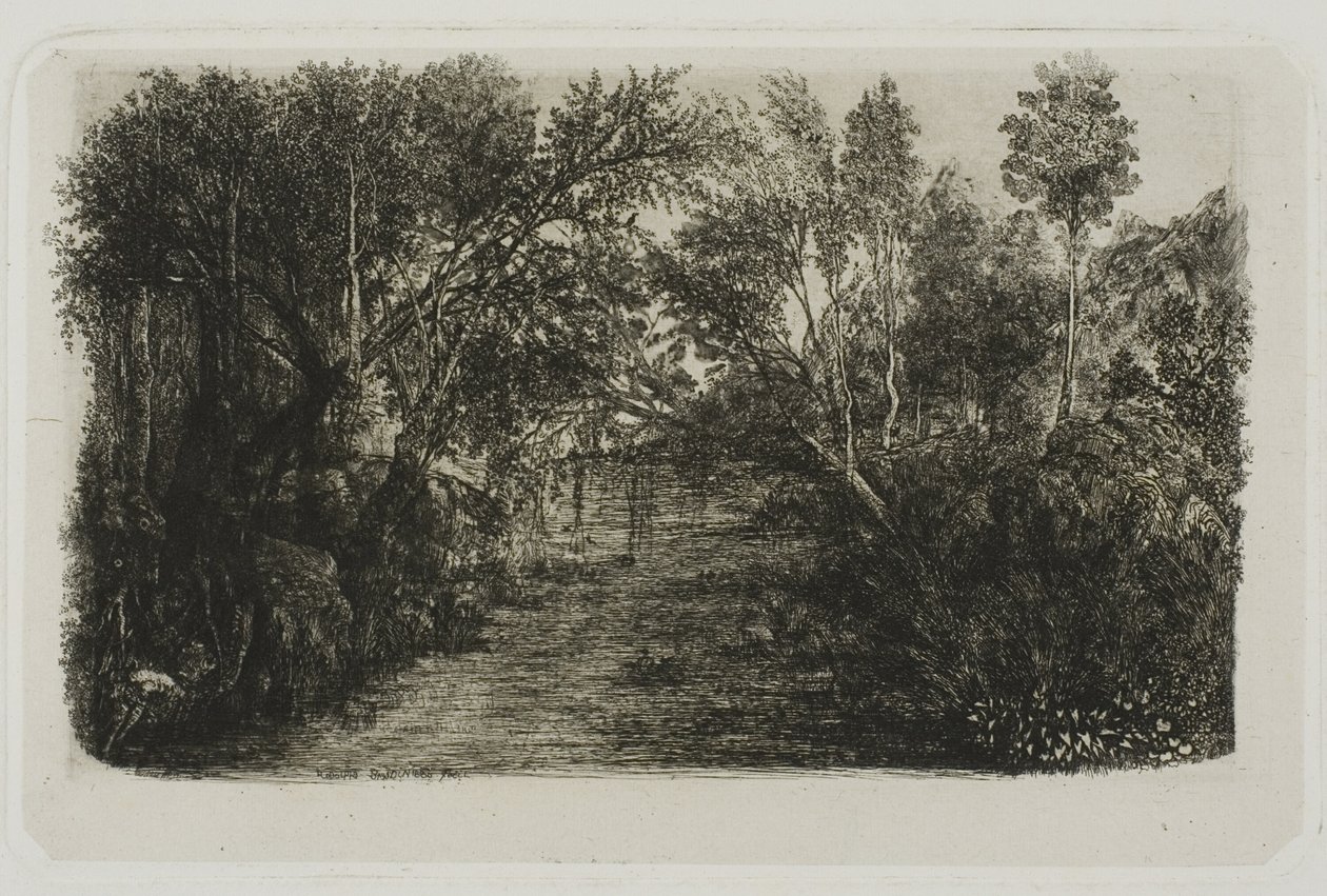 Il ruscello da Rodolphe Bresdin
