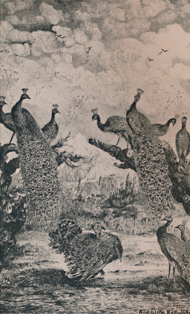 I pavoni, 1869, 1946 da Rodolphe Bresdin