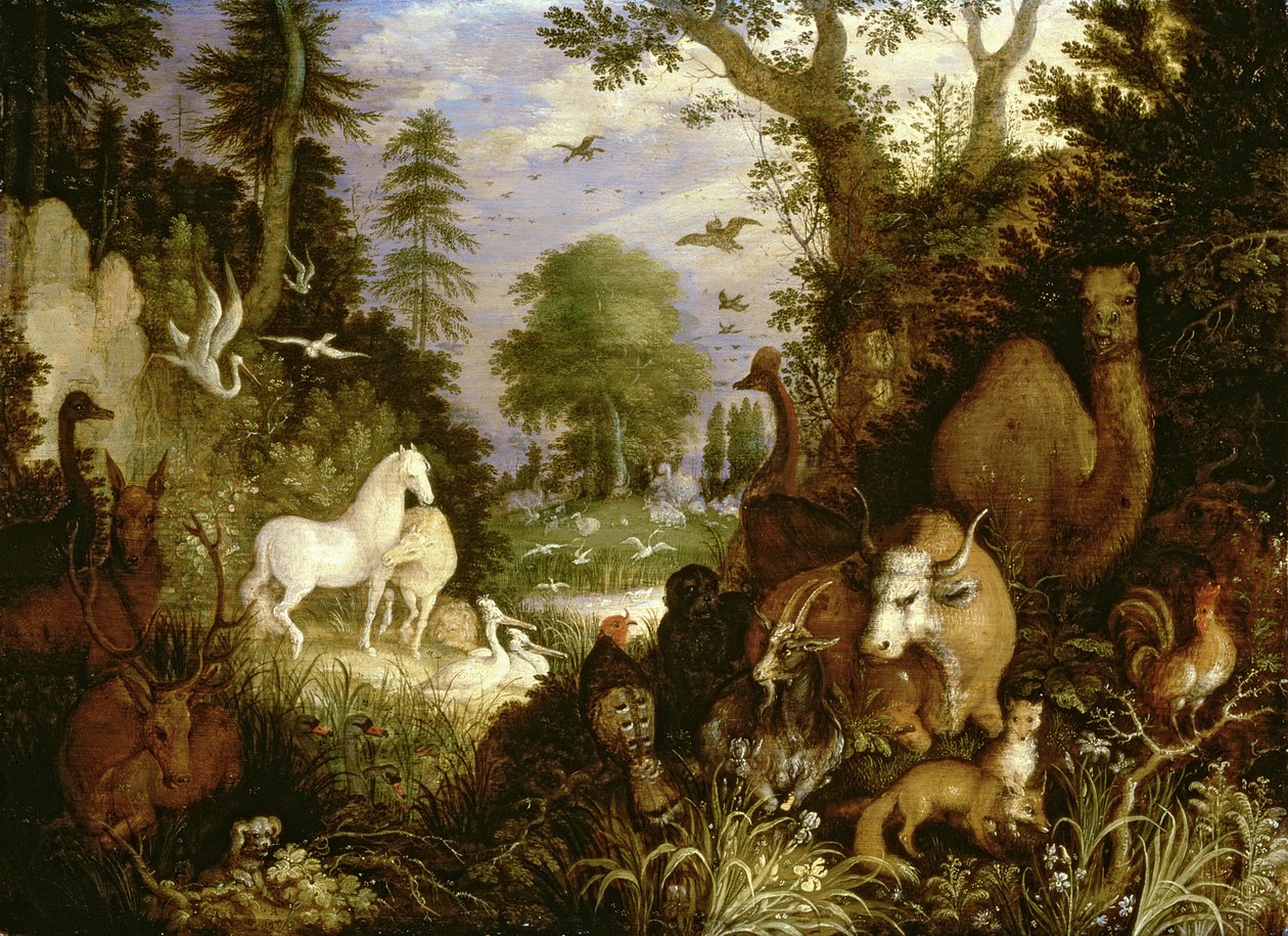 Il Giardino dell