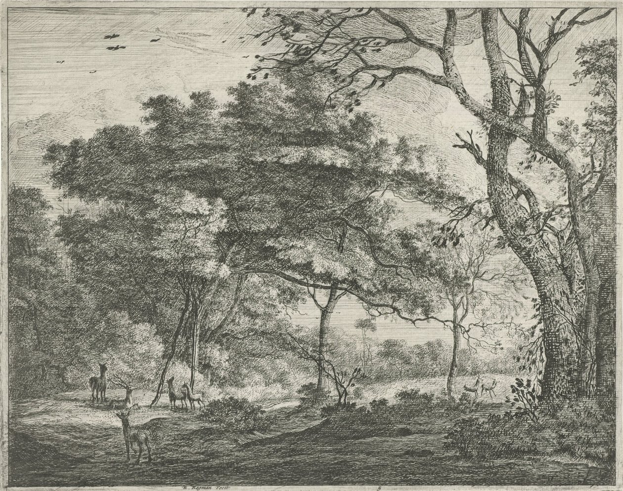 Cervi nel bosco dell