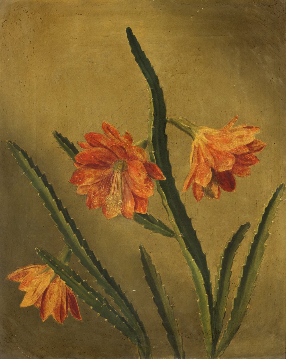 Studio di fiori da Rolinda Sharples