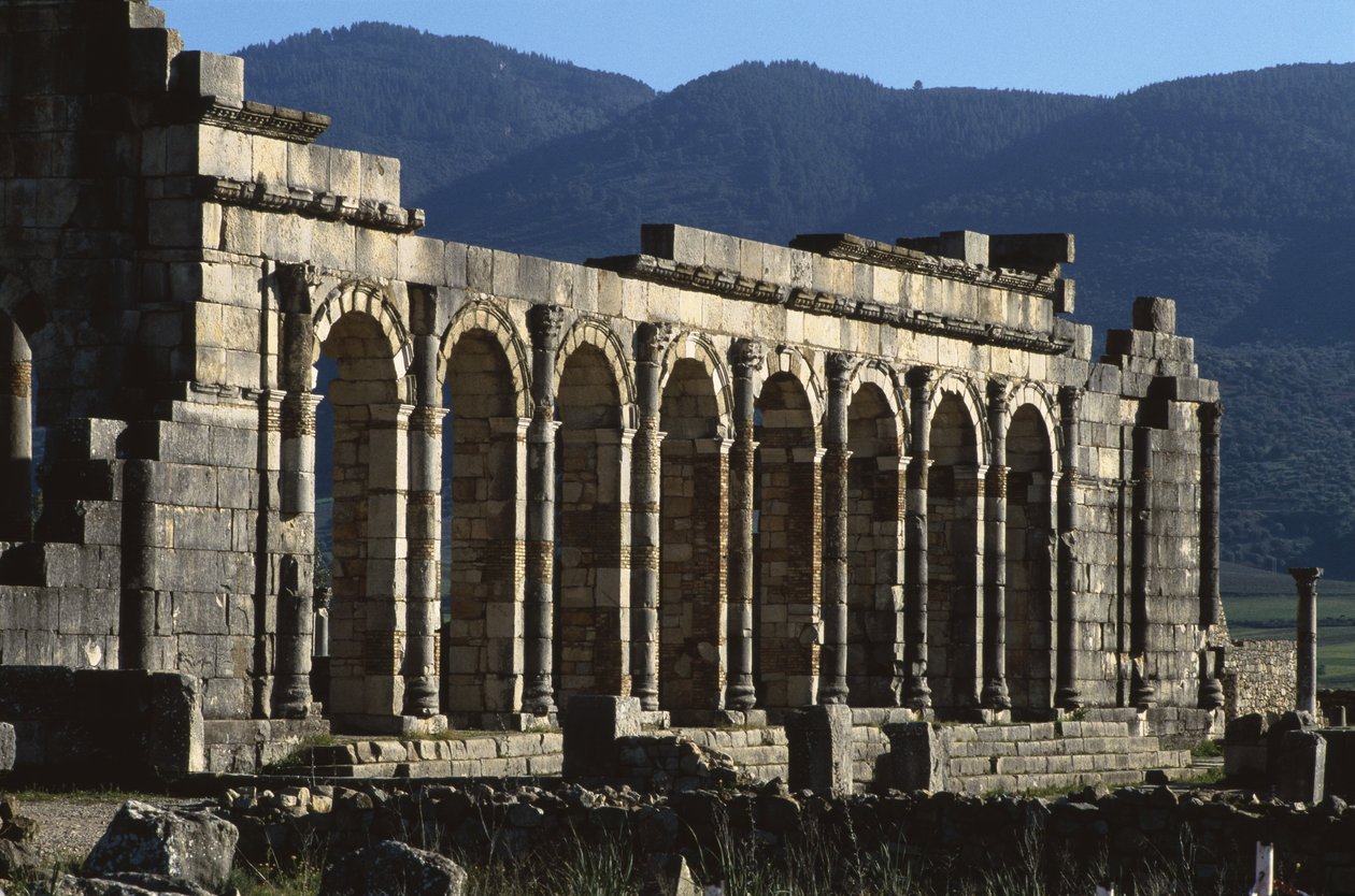 Basilica, 217 d.C. da Roman