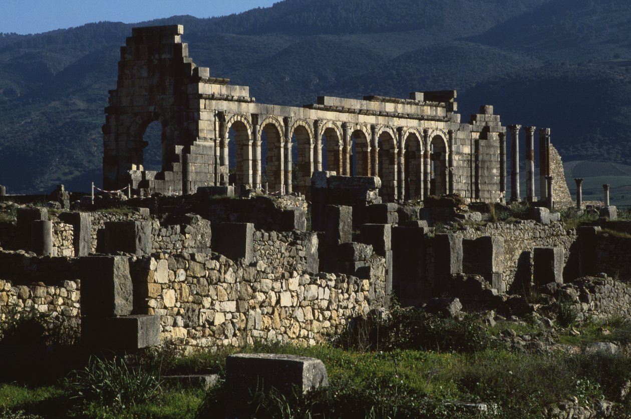 Basilica, AD 217 da Roman