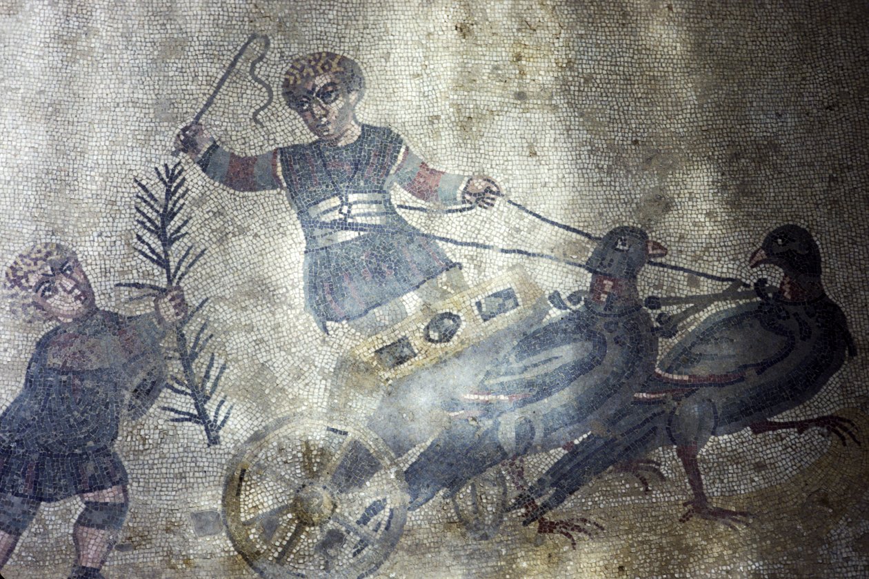 Auriga degli uccelli (mosaico) da Roman