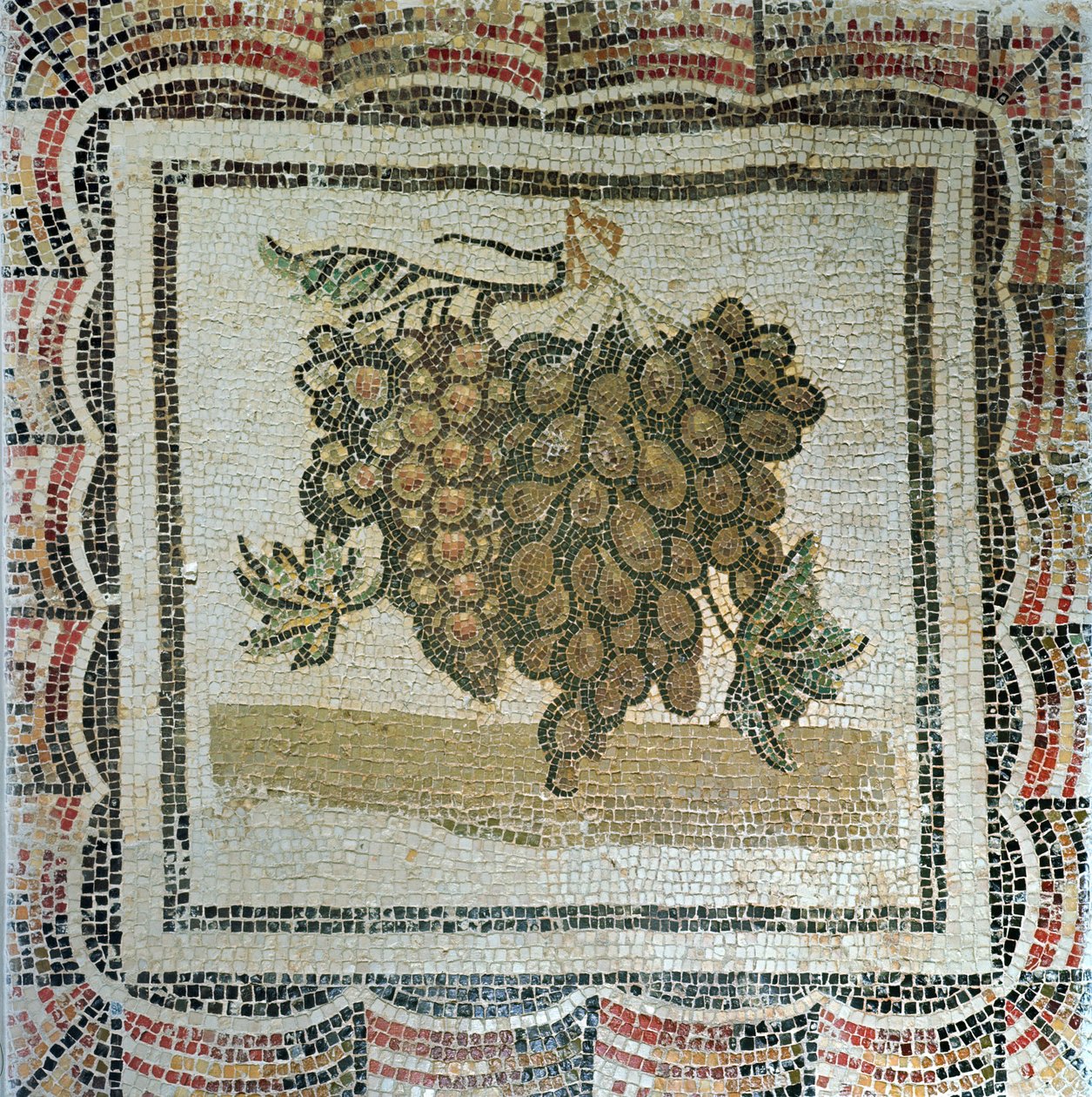 Grappolo di uva bianca, mosaico romano da Roman