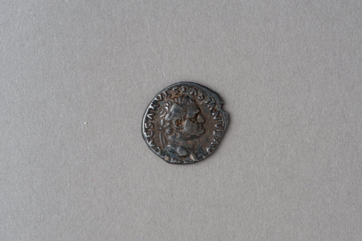 Denario di Vespasiano da Roman