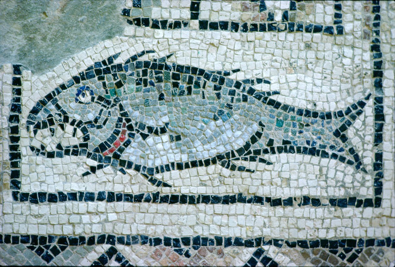 Pesce su un pavimento romano (mosaico) da Roman