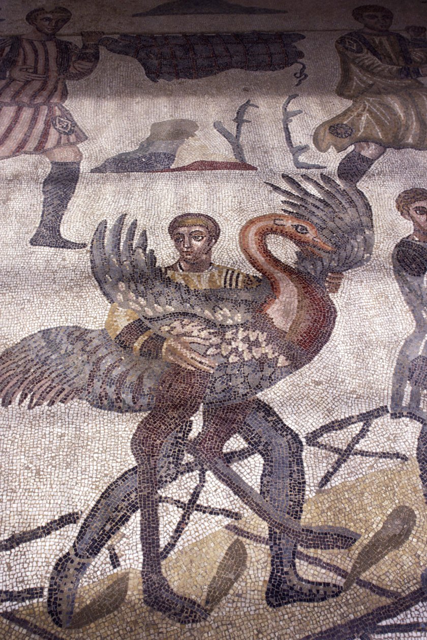 Uomo che porta un cigno (dettaglio) da Roman