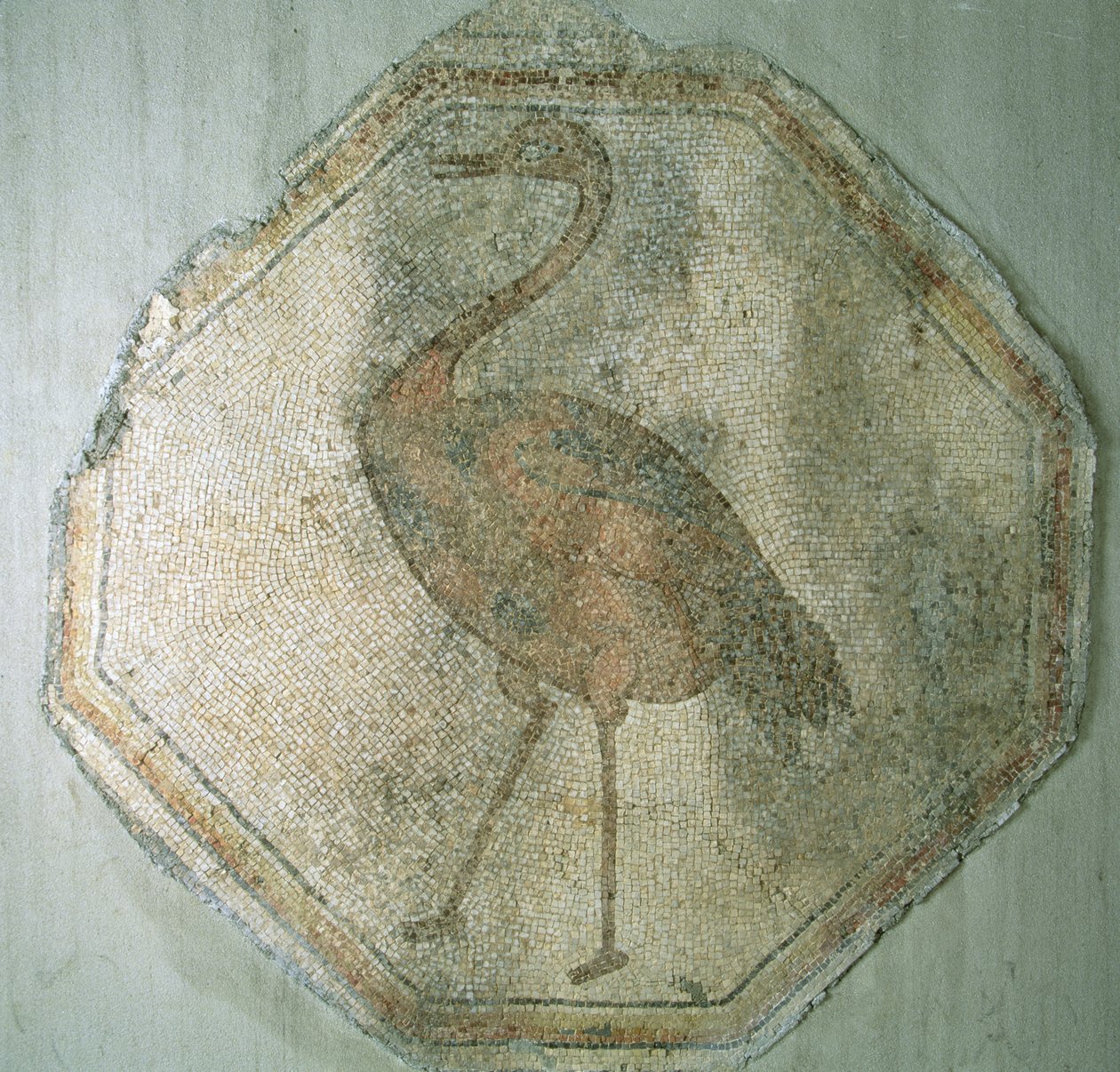 Mosaico raffigurante uno struzzo, da Salkim, Turchia da Roman