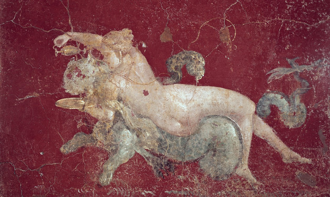 Nereide a cavallo di una tigre marina, da Stabiae, prima del 79 d.C. da Roman