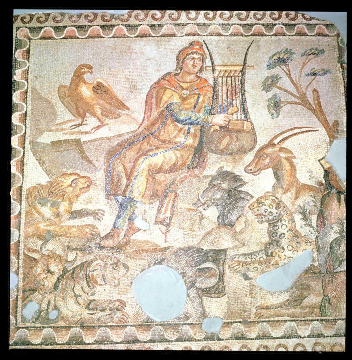 Orfeo che suona agli animali, mosaico romano da Roman