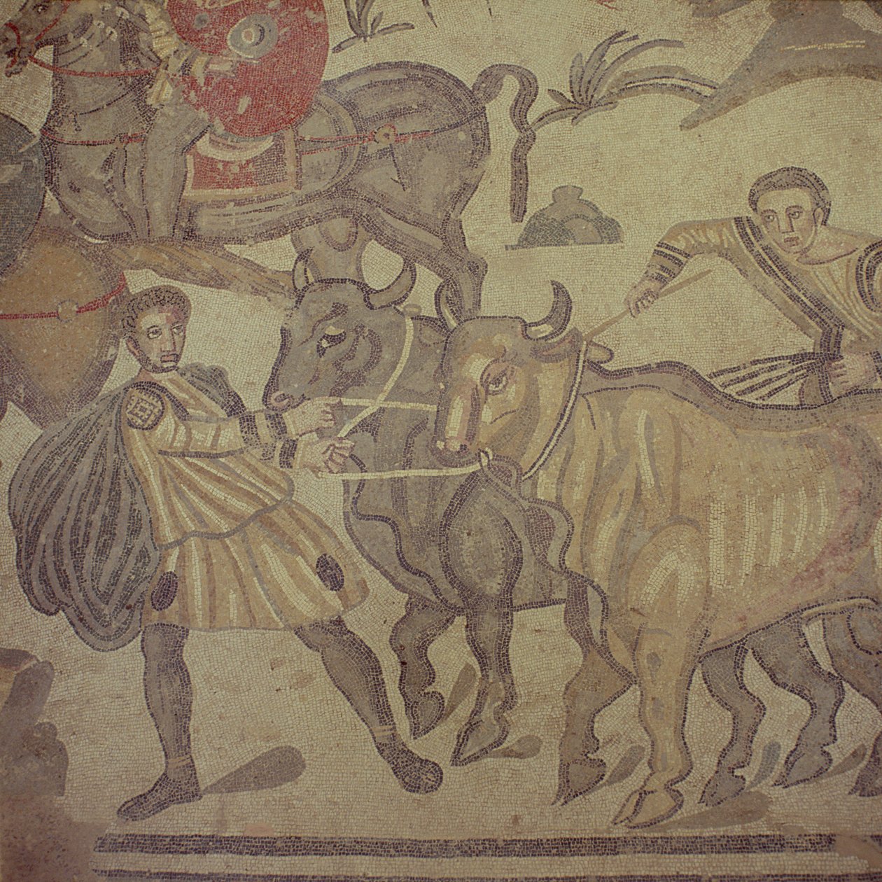 Buoi che trasportano acqua, mosaico romano, inizio IV secolo da Roman