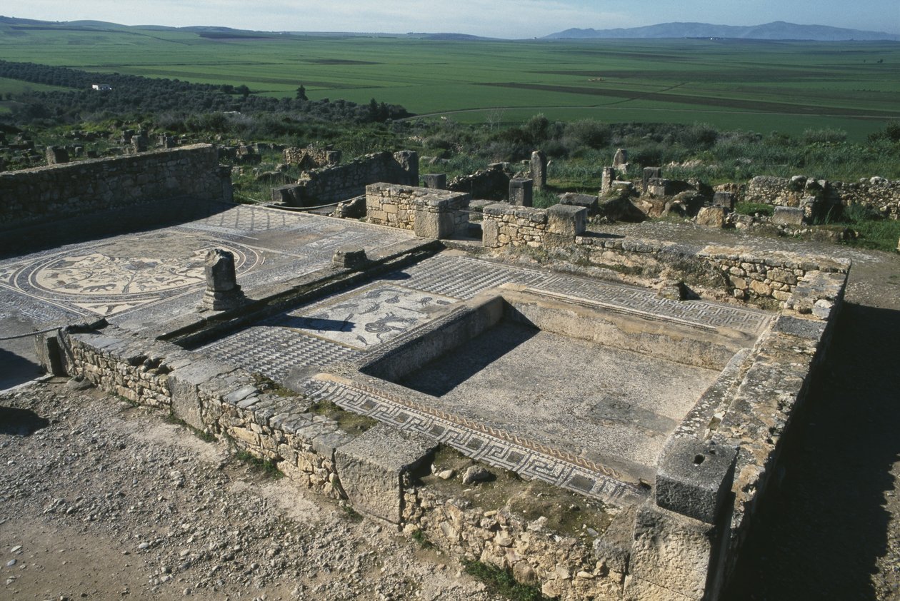 Pavimento di una casa patrizia da Roman