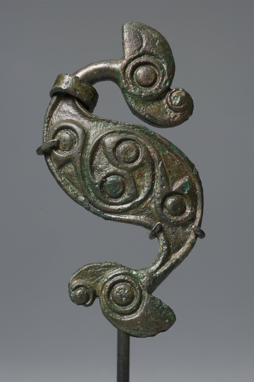 Fibula 
