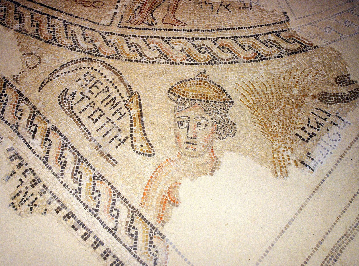 Mosaico di Sepphoris, Tzippori da Roman