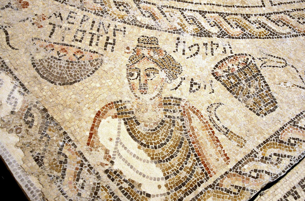 Mosaico di Sepphoris, Tzippori da Roman
