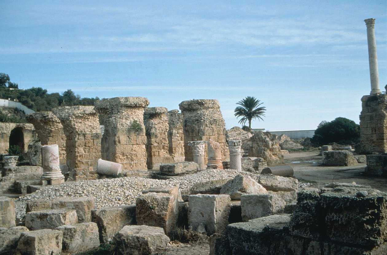 Vista delle rovine da Roman