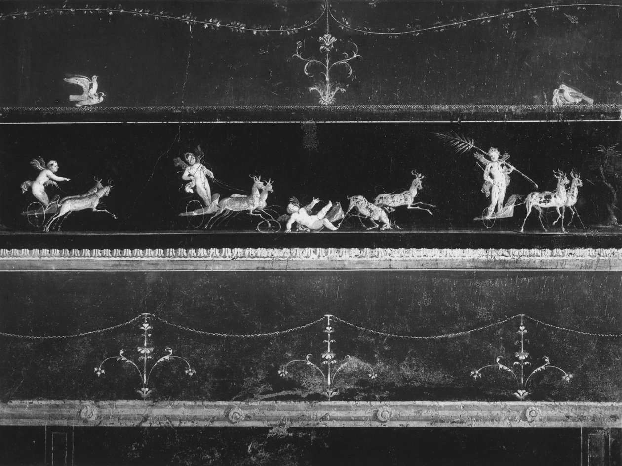 Fregio decorato con putti che guidano bighe da Roman Roman