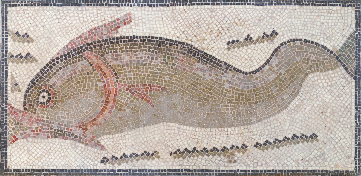 Delfino, da Tunisi, III-V secolo d.C. (mosaico) da Roman Roman