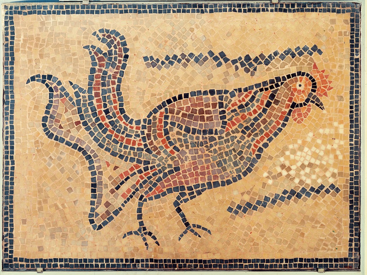 Gallo, da Tunisi, probabilmente fine V secolo d.C. (mosaico) da Roman Roman