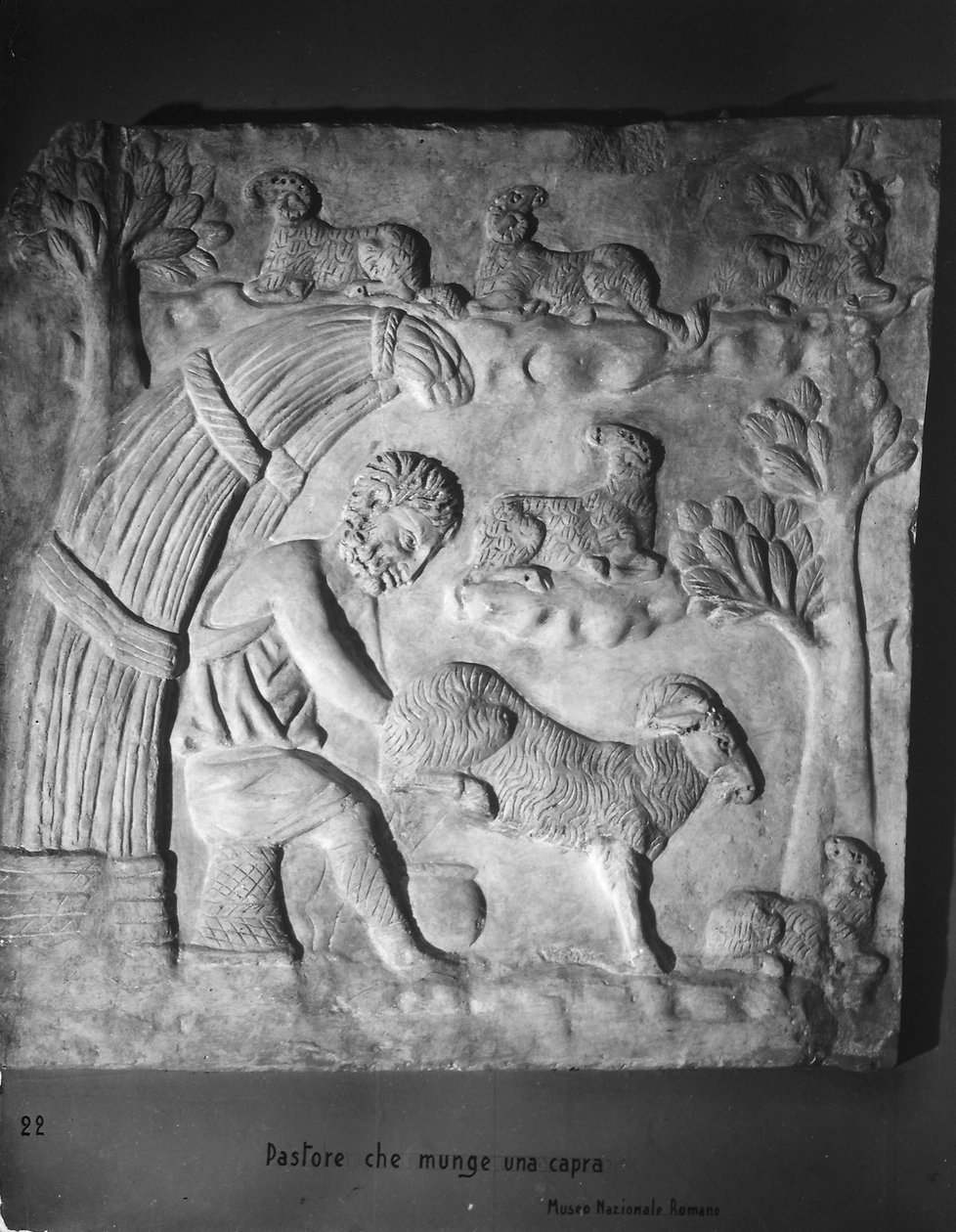 Pastore che munge una capra (dettaglio) da Roman Roman