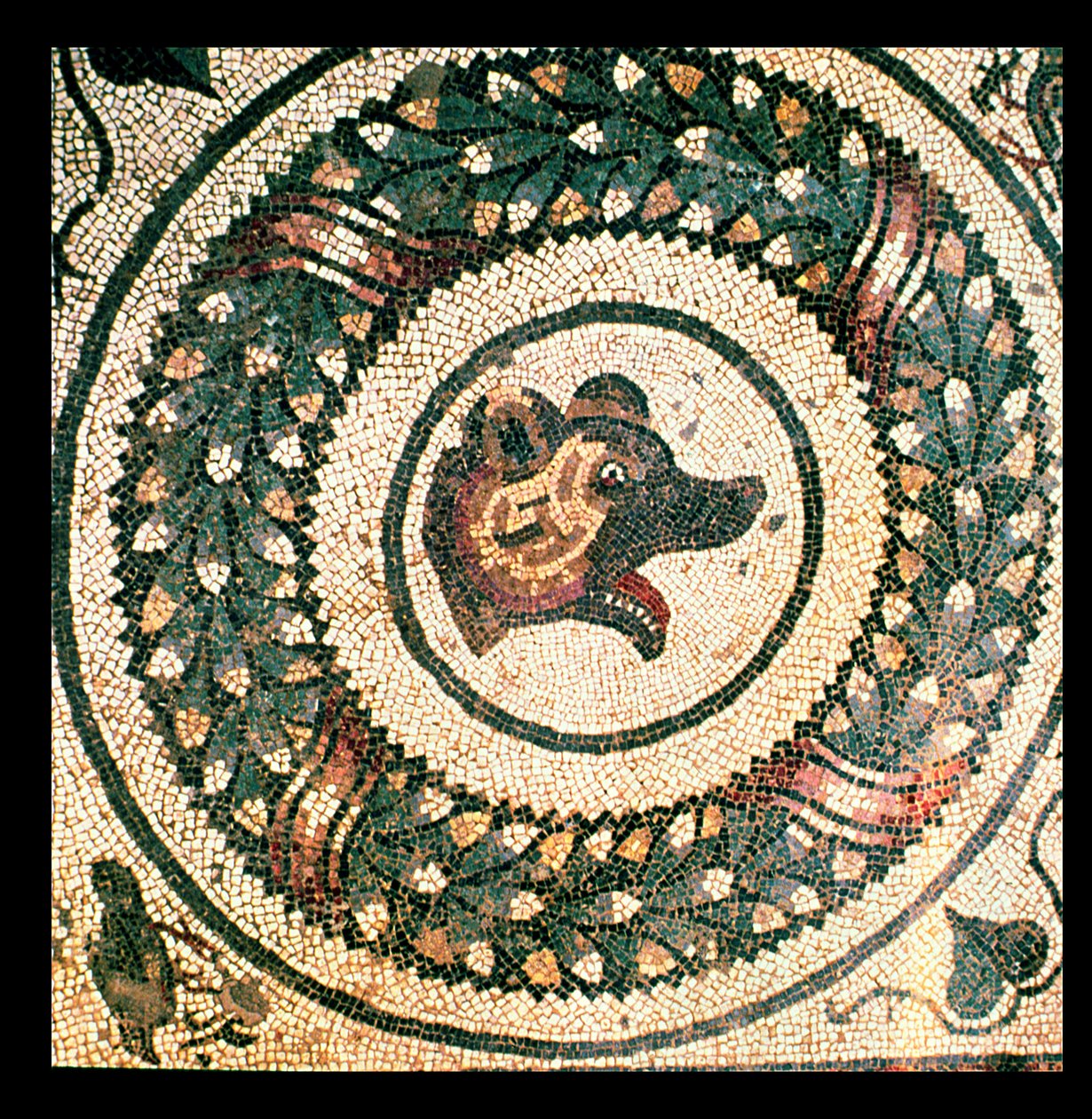 Testa di orso, mosaico romano, inizio IV secolo da Roman