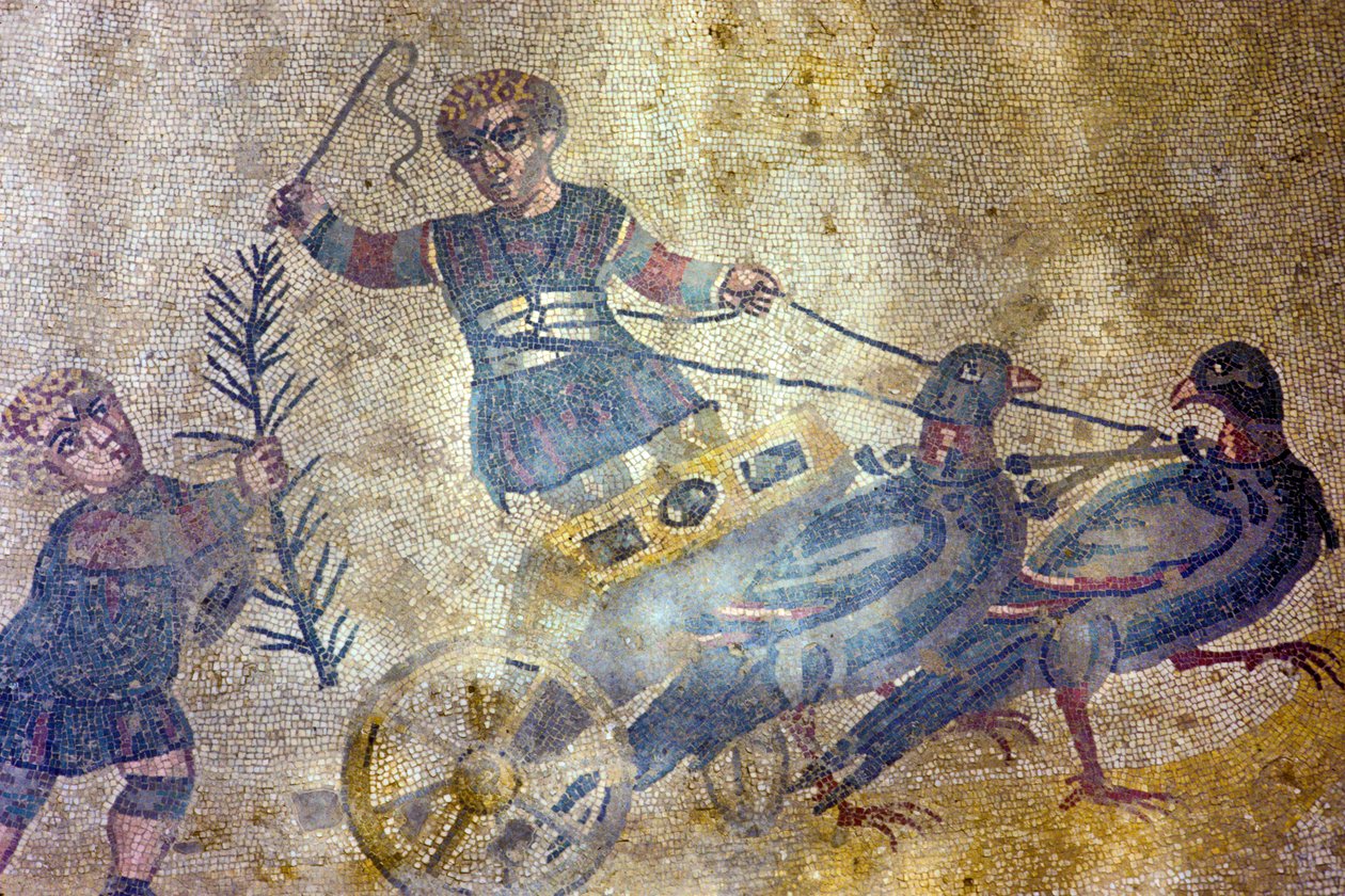Auriga di uccelli (mosaico) da Roman