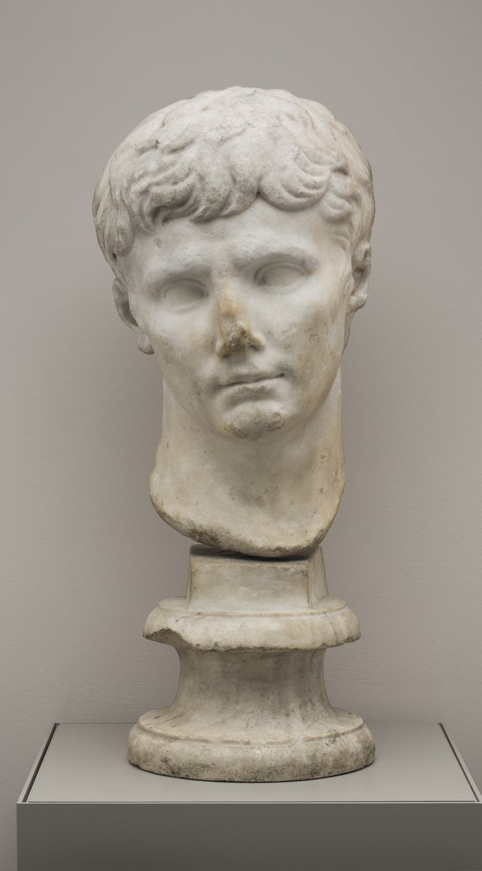 Testa dell