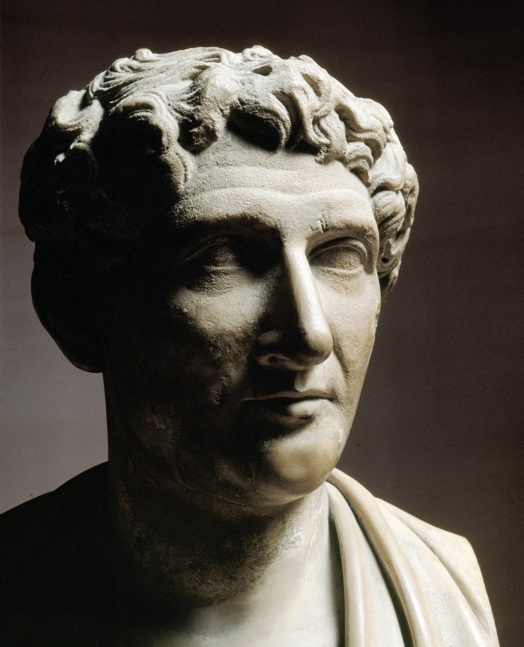 Testa di Ovidio da Roman